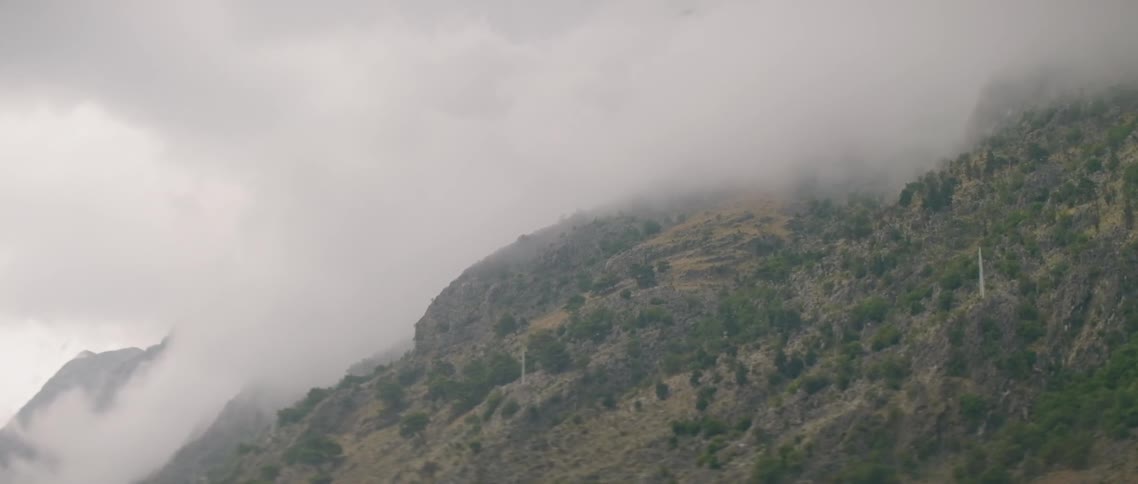 The bird flies past the fog covered mountain