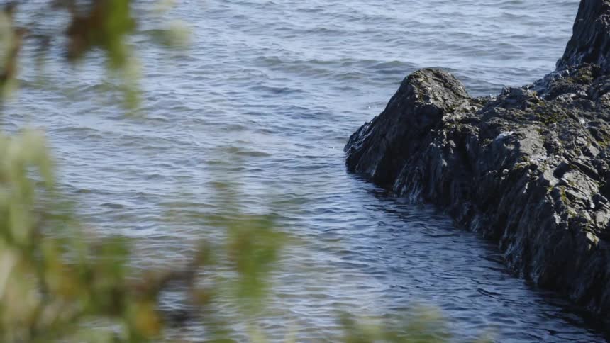 Water ripples and flows around a rocky shore