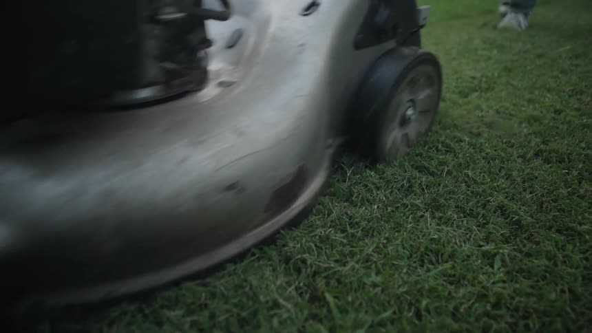 A man mows a lawn with a push lawnmower