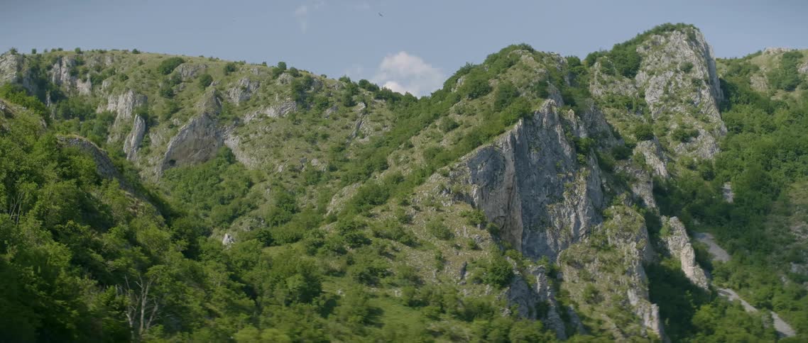 The mountain is covered with bushes