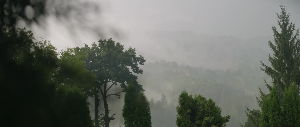 The hills ahead are covered with fog