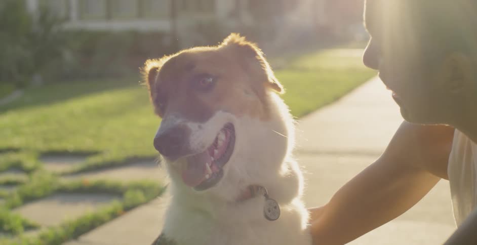 The woman smiles as she pets her dog on the sidewalk