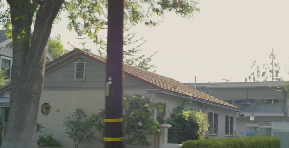 Houses along a suburban street