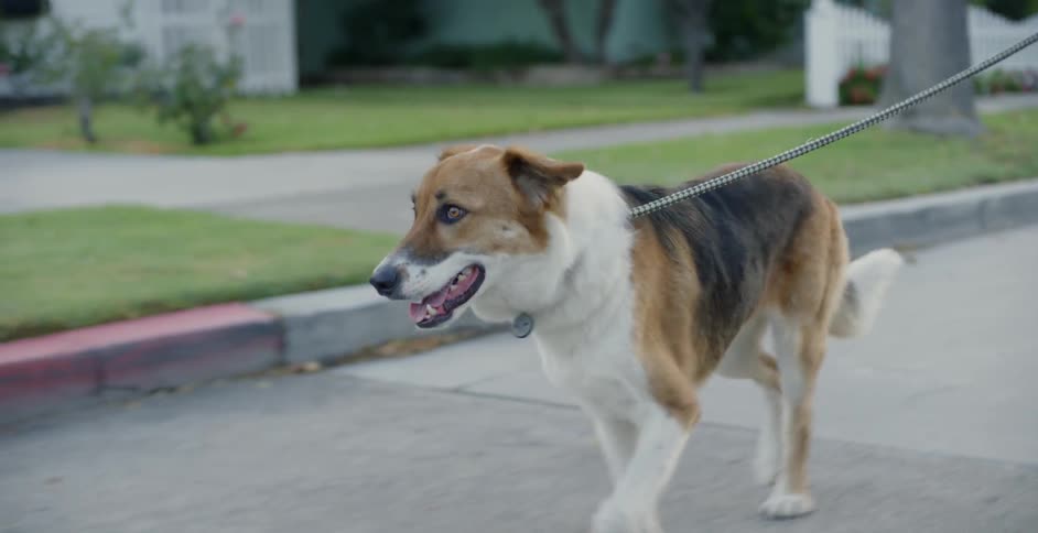 A woman jogs down a neighborhood street with her dog on a leash