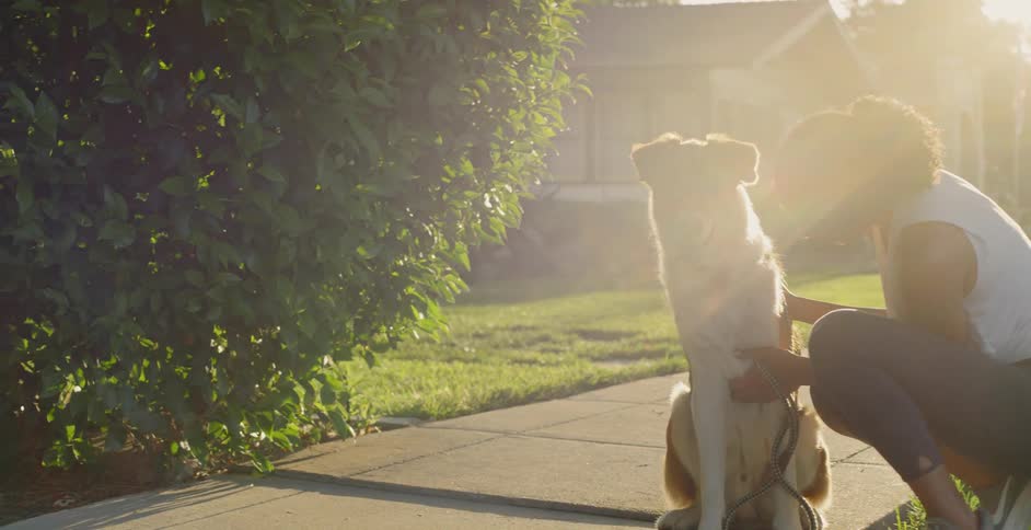 A woman squats down on the sidewalk next to her dog and pets him