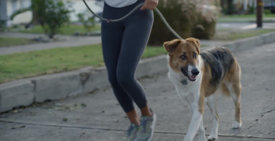 Woman starts her walk down a street with a dog