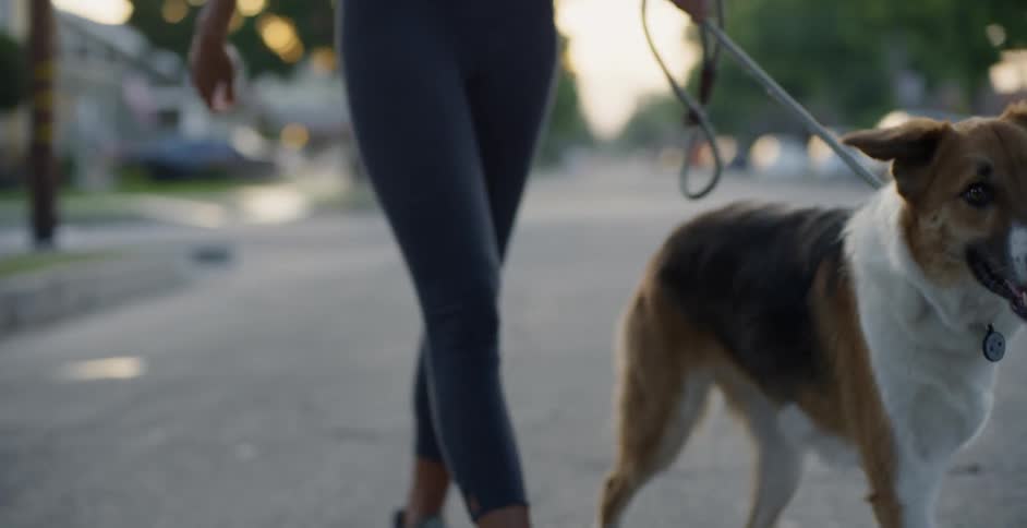 The woman is walking a dog though the neighborhood