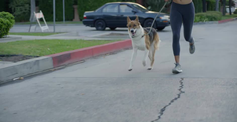 Woman jogs with her dog down a city street