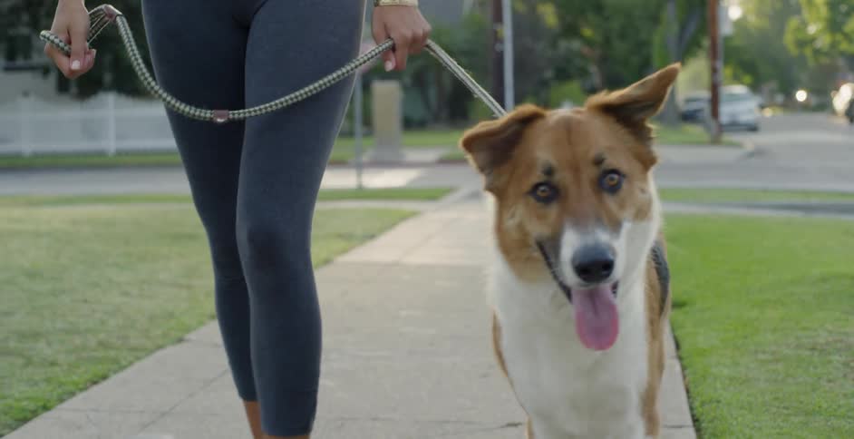 The woman is walking the dog outside