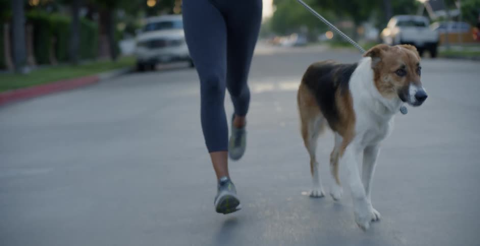 The dog is jogging with its owner in the street