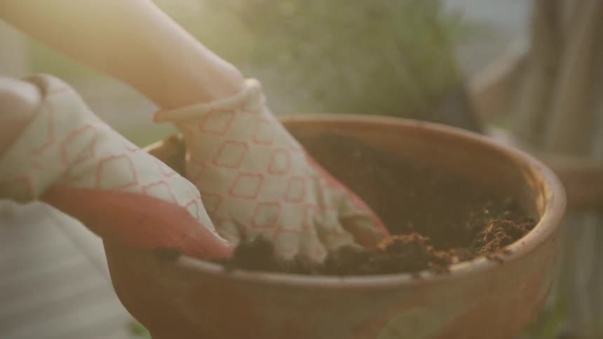 Person digs in the dirt in a flower pot