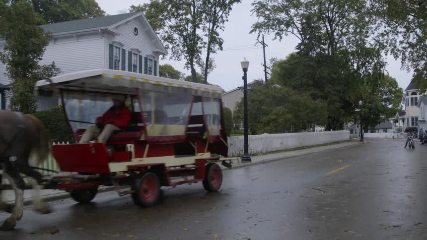 Man is driving horse carriage down wet street in neighborhood