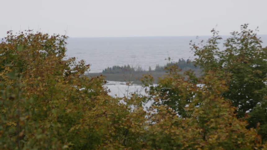 The trees with yellow leaves line the shore