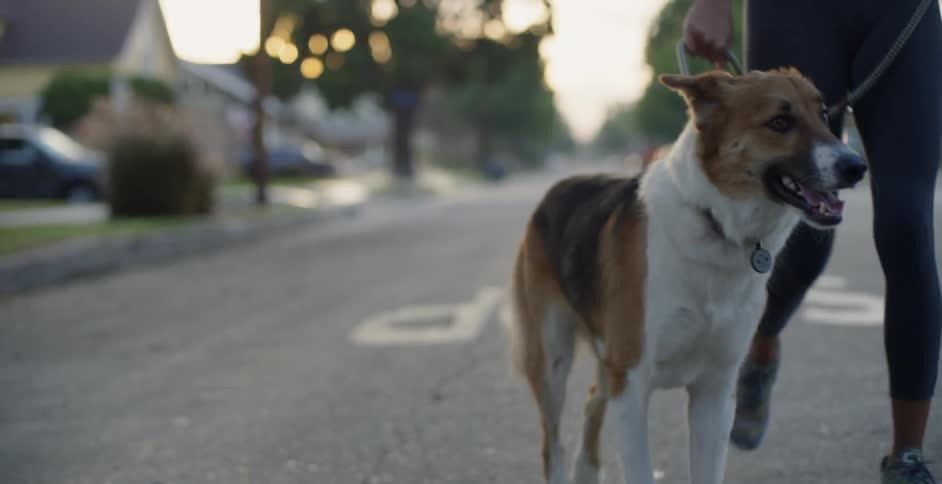 A woman jogs on a neighborhood street with her dog on a leash