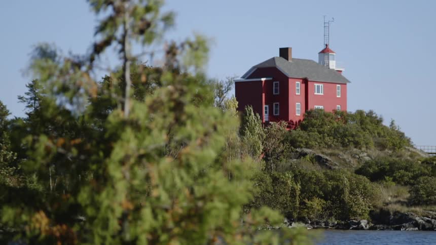 The tall tree lines the red house on the hill