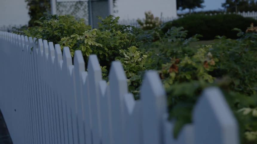 The bushes line the white fence
