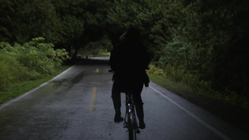 The woman rides the bicycle under the trees