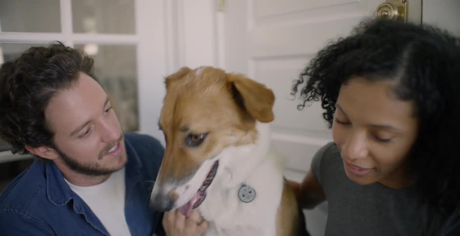 The man and woman rub and pet the happy dog