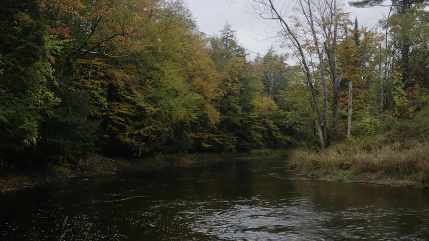 The stream runs through the woods