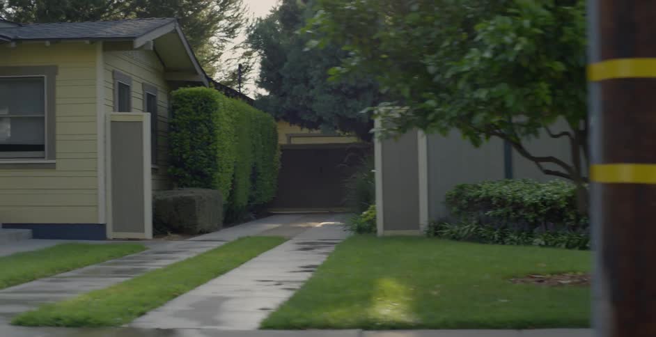 Woman Jogging With Dog