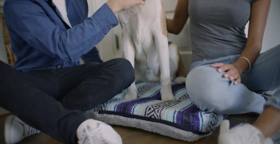 A man and woman sit on the floor petting the dog sitting between them