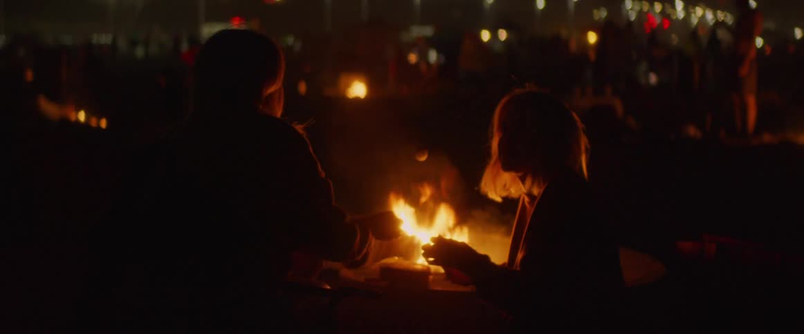The people cook marshmallows on the campfire at night