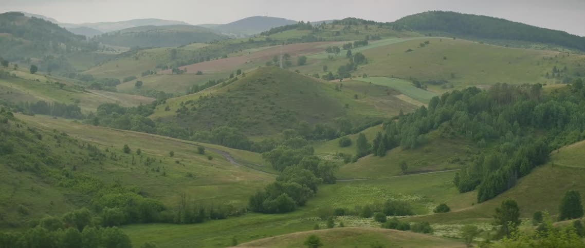 Trees covering hilly land on an overcast day
