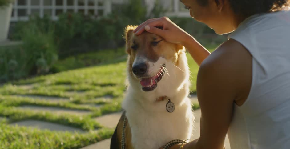 A woman pets a dog on a neighborhood sidewalk