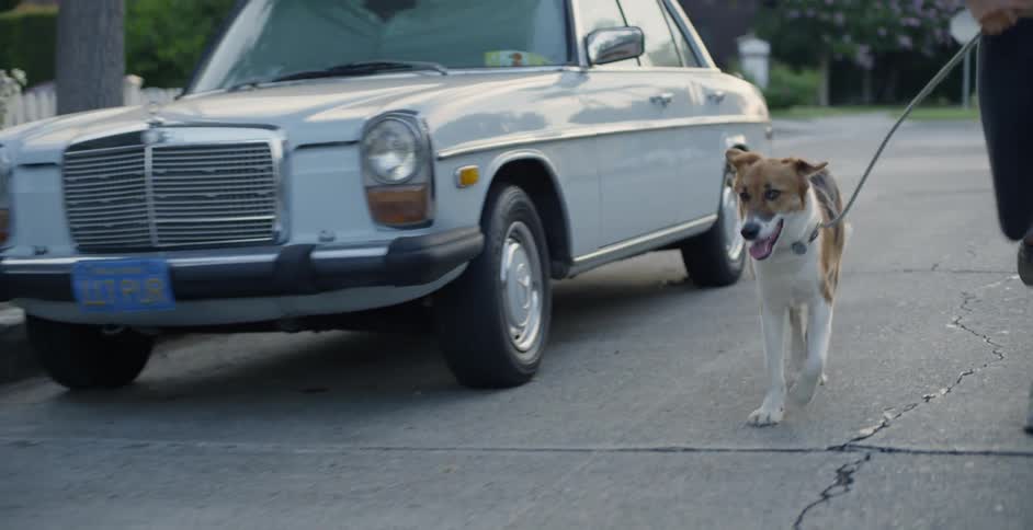 The dog is being led by a jogging woman on a leash