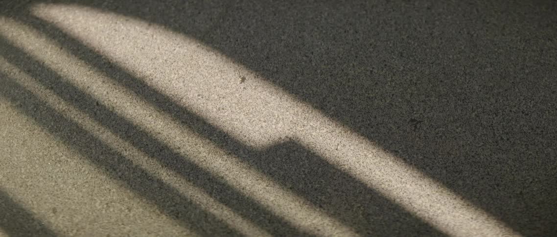 Shadows on pavement