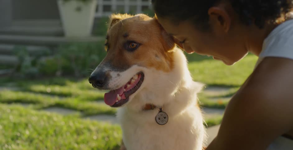 The woman is rubbing her dog on a sunny day