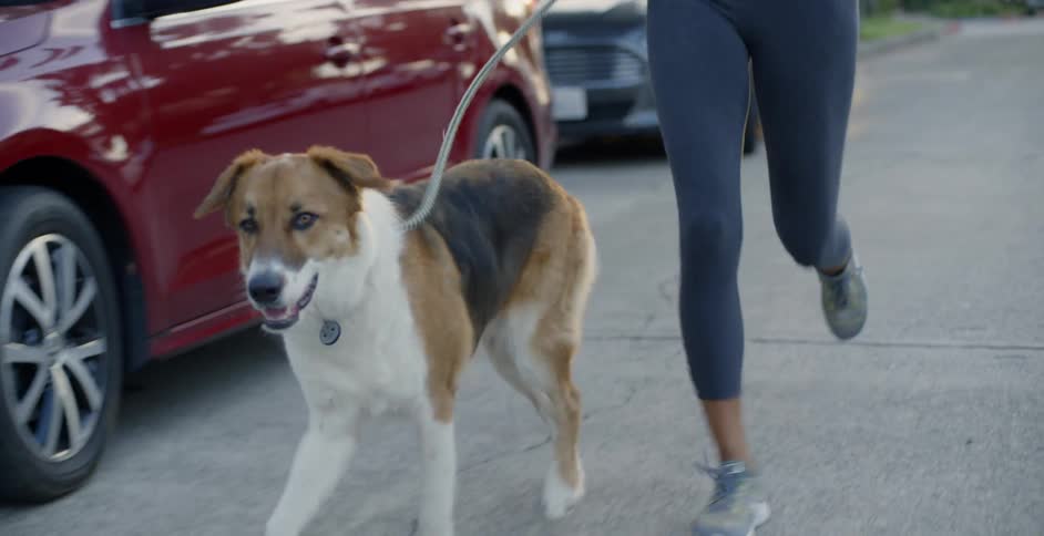 The travels with the woman on a leash