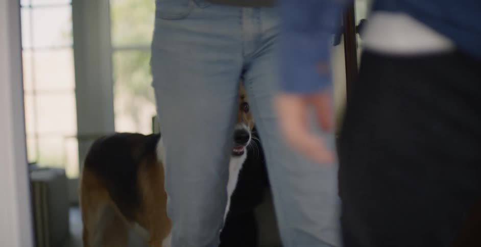 Person opens a door and greets another person while a dog stands by