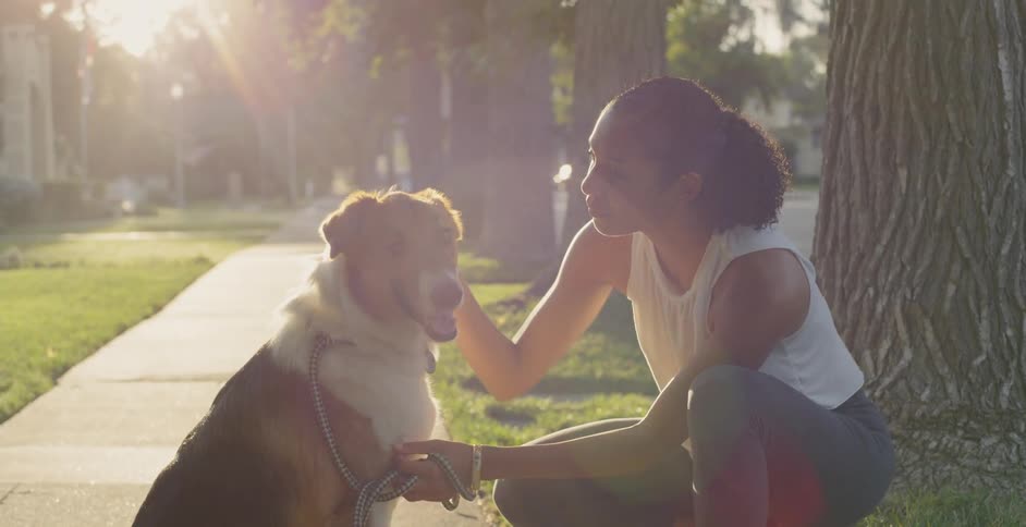 A woman pets her dog on the sidewalk on a sunny day