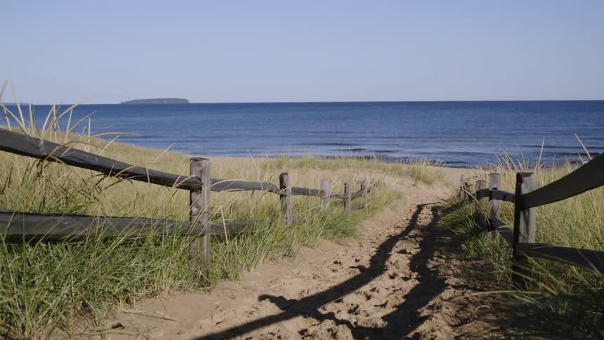 A fence and grass on either side of a sand path to the ocean