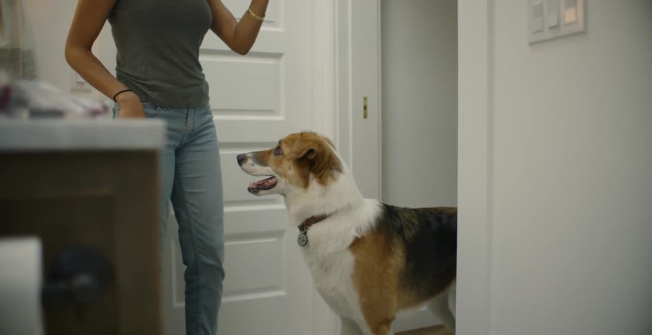The dog walks up to the woman who backs him off to the doorway
