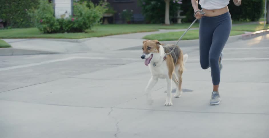 The woman is running with her dog in the street