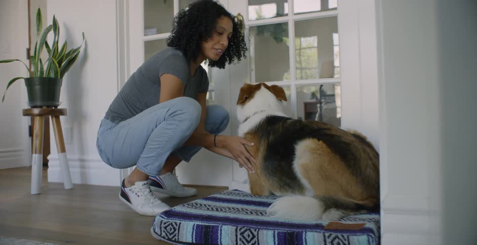 A woman squatting down to pet her dog who is lying on his bed