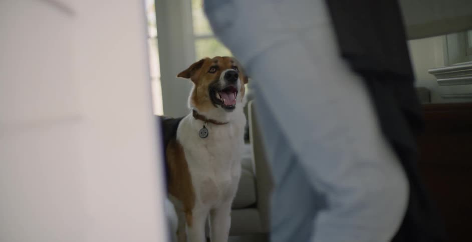The dog is watching as the woman leaves the house