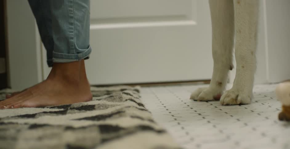 The dog stands next to his toy in the bathroom