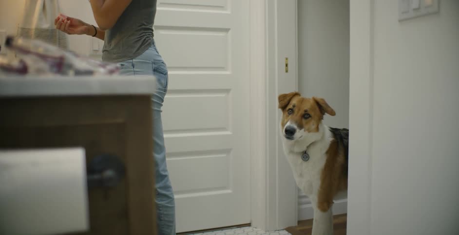 Woman puts makeup on in the bathroom and a dog stands behind her