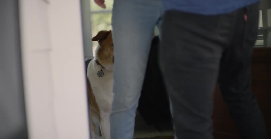 The dog watches as the woman closes the door