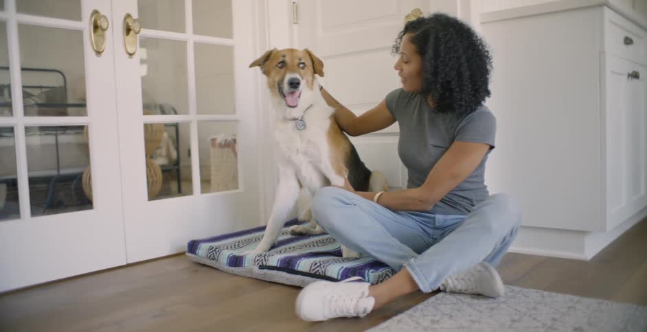 Woman sits on the floor petting a dog