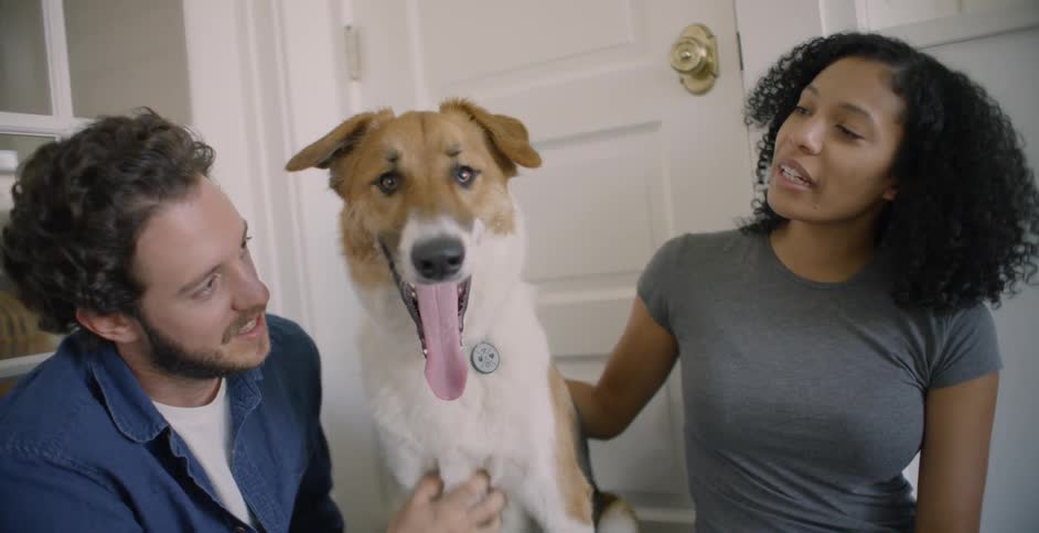 The dog yawns as he is petted by two people