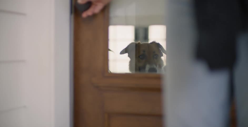 The woman closes the door on the dog
