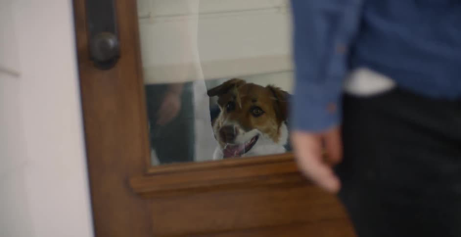 Person leaves the house and shuts the door by the dog