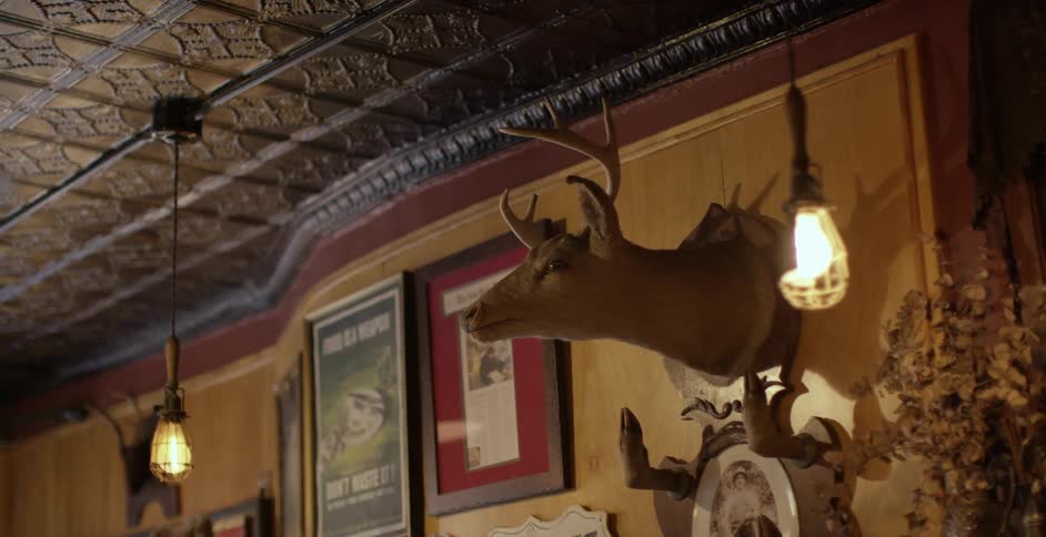 A large deer's head is mounted on a wall that's decorated with many picture frames