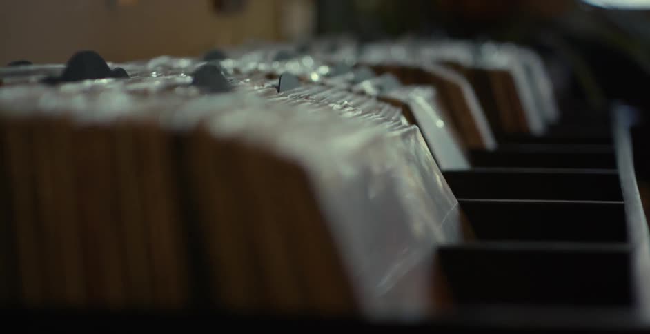 Rows of plastic covered vinyls for sale