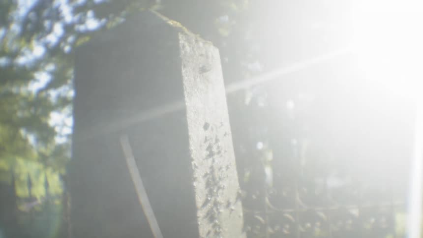 The sun shines through the trees and on a large cement structure