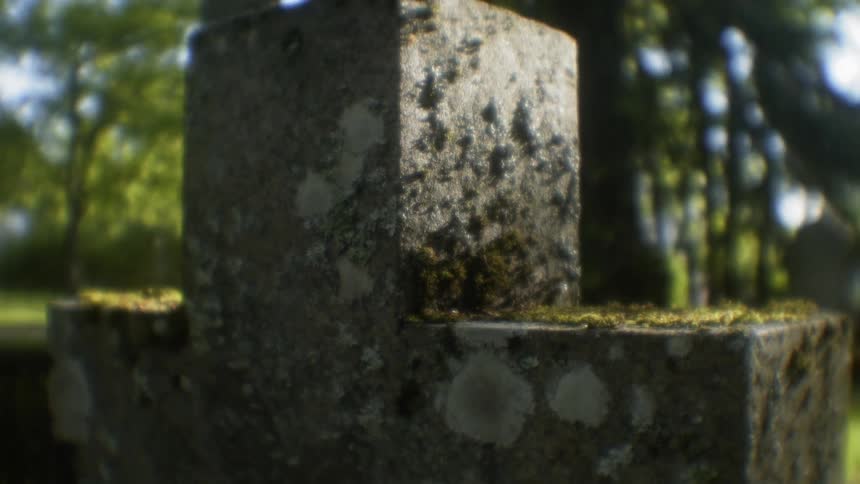 Moss growing on cross shaped tombstone in cemetery